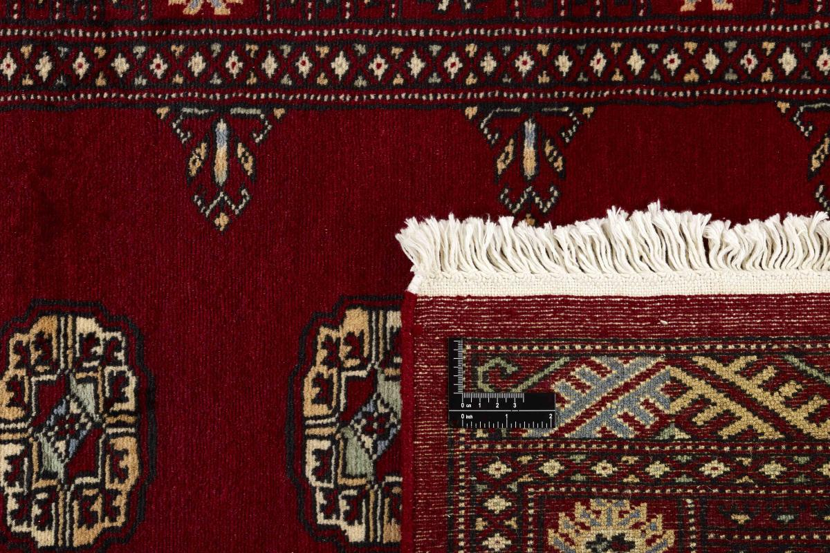 Pakistan Buchara 2ply - 1