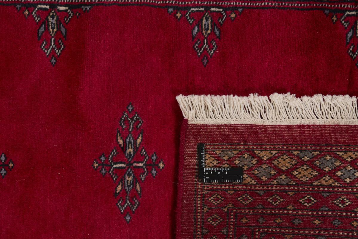 Pakistan Buchara 2ply - 1