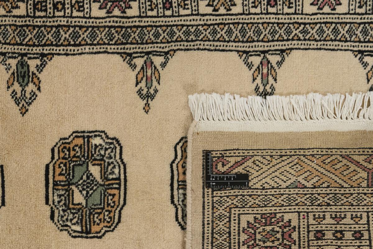 Pakistan Buchara 2ply - 1