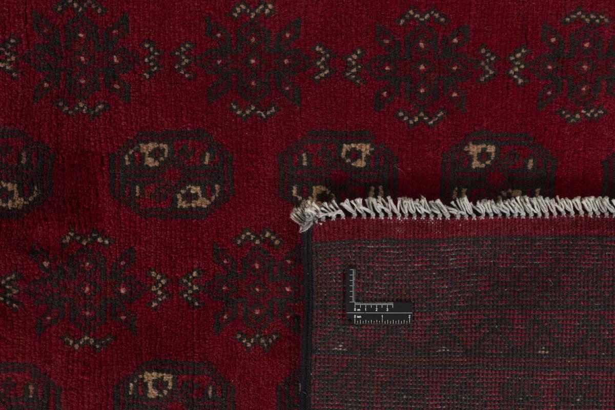 Afghan Akhche - 1