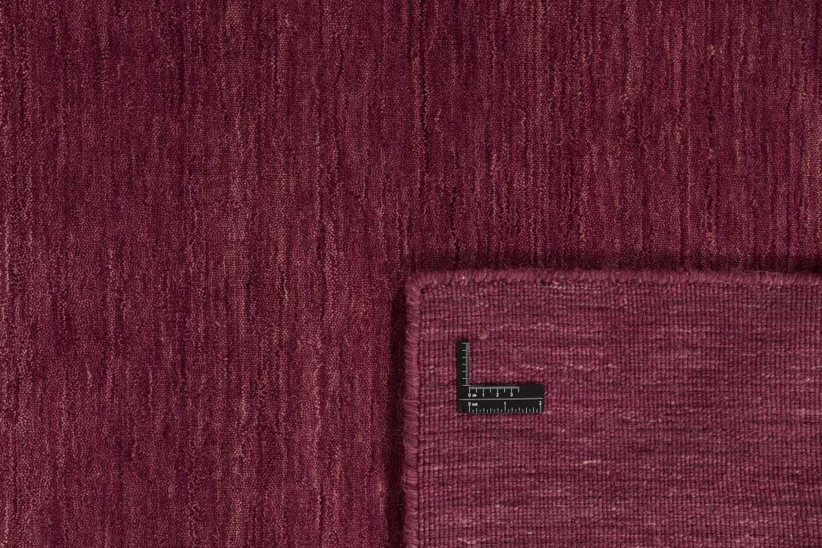 Horizon Uni - 1