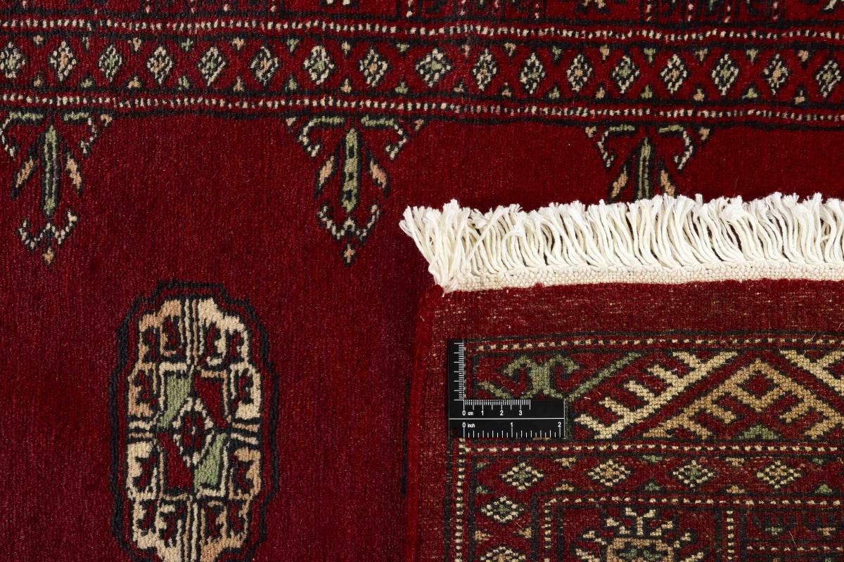 Pakistan Buchara 2ply - 1