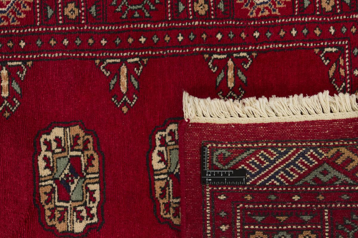 Pakistan Buchara 3ply - 1