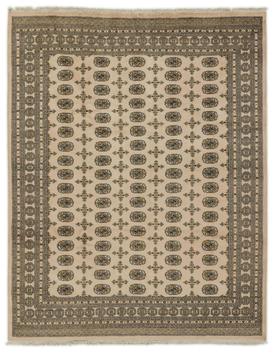 Alfombra pakistaní Pakistan Buchara 2ply 309x244 309x244, Alfombra persa Anudado a mano