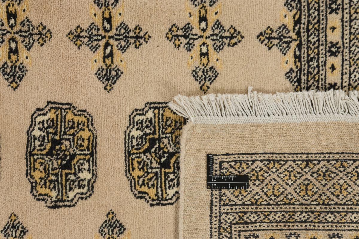 Pakistan Buchara 2ply - 1