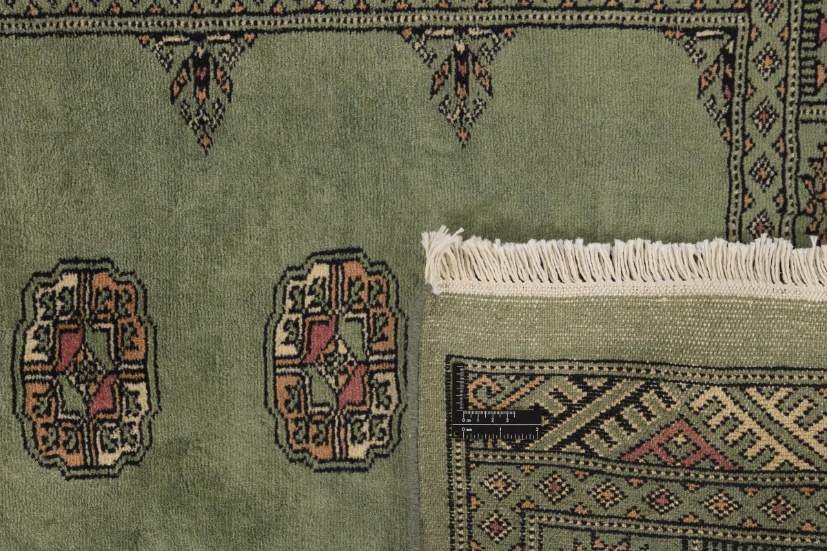 Pakistan Buchara 3ply - 1