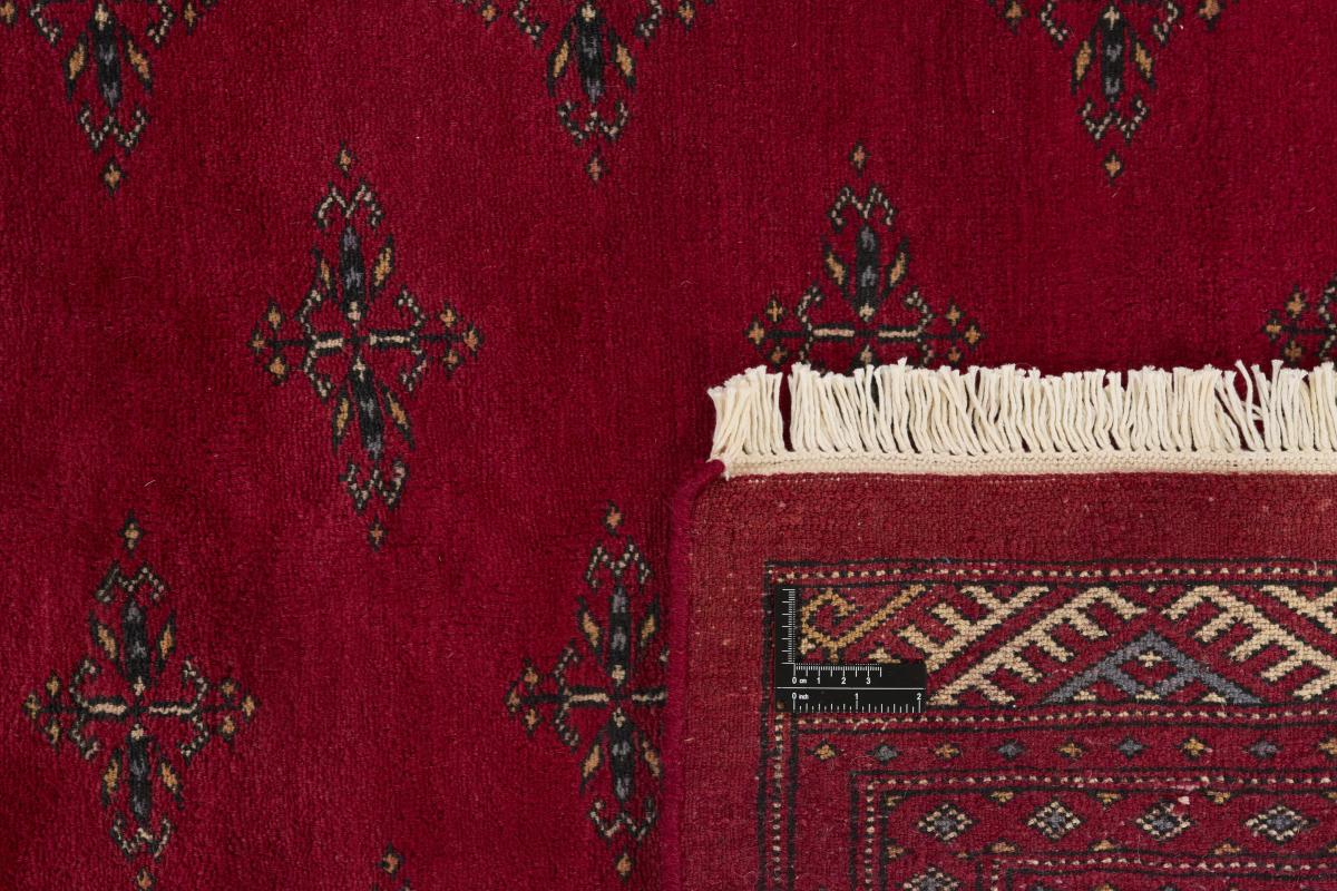 Pakistański Buchara 3ply - 1