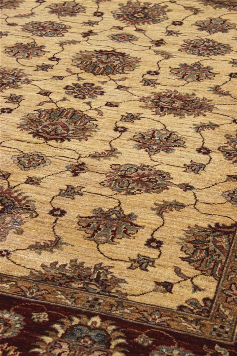 Ziegler Farahan - 1
