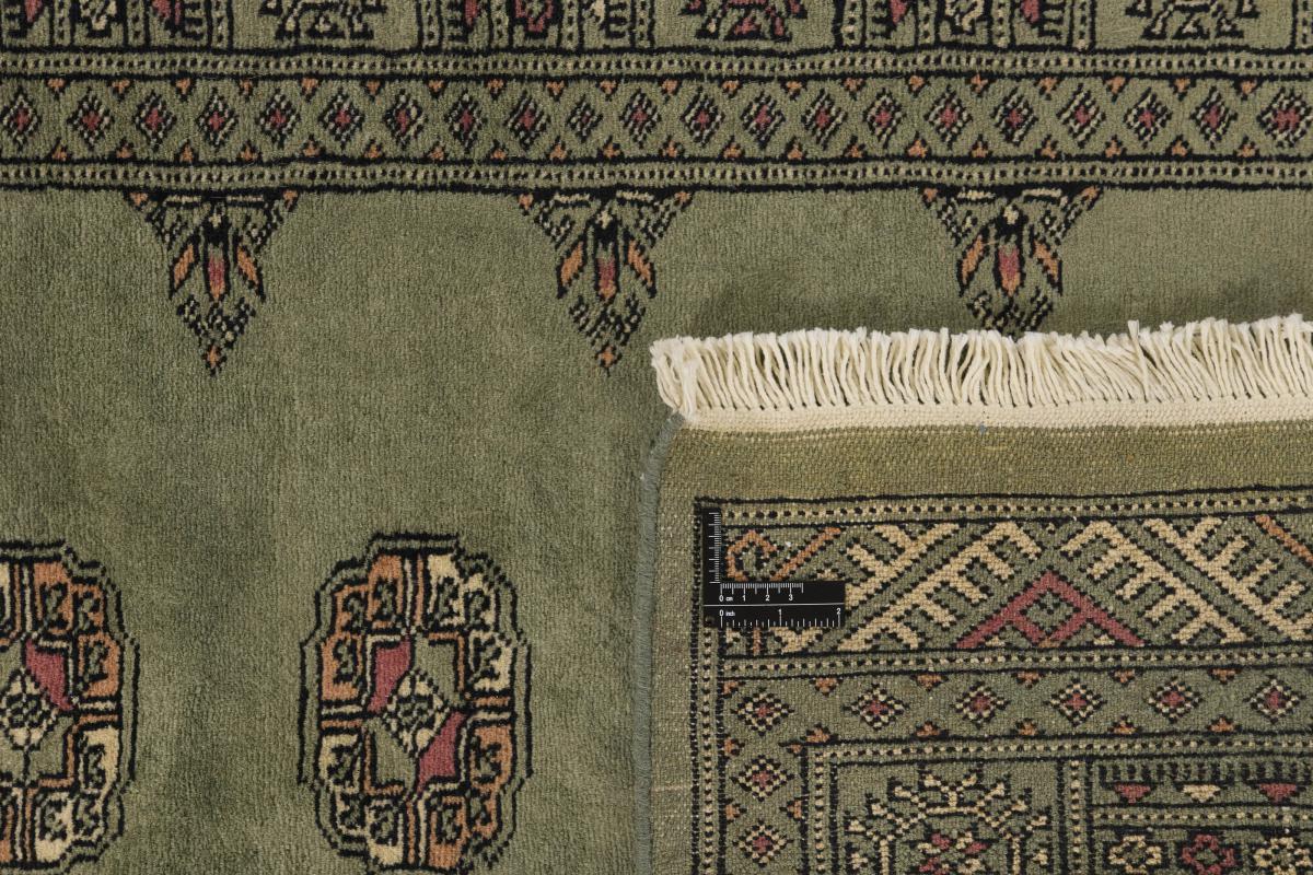 Pakistan Buchara 3ply - 1