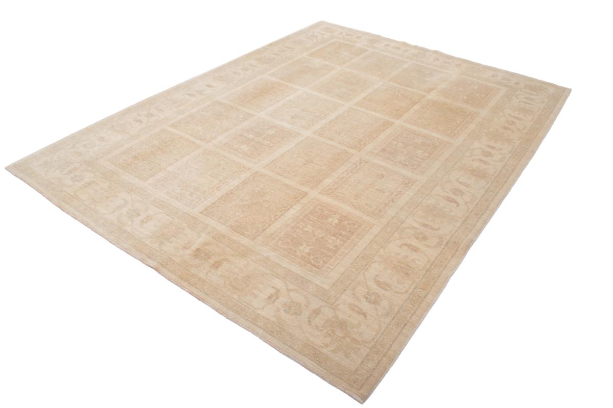 Ziegler Farahan - 1