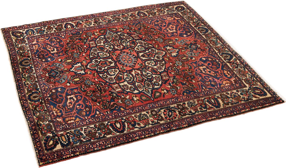 バクティアリ オールド - 1