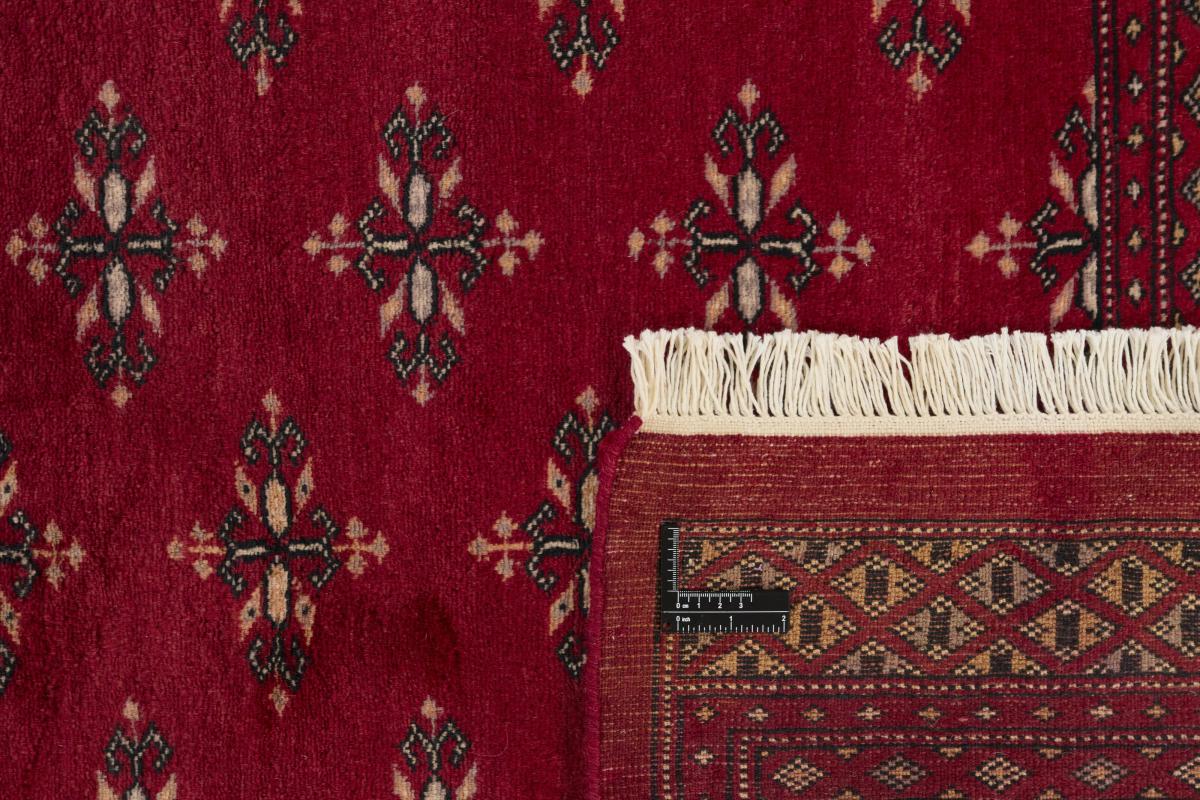 Pakistański Buchara 3ply - 1