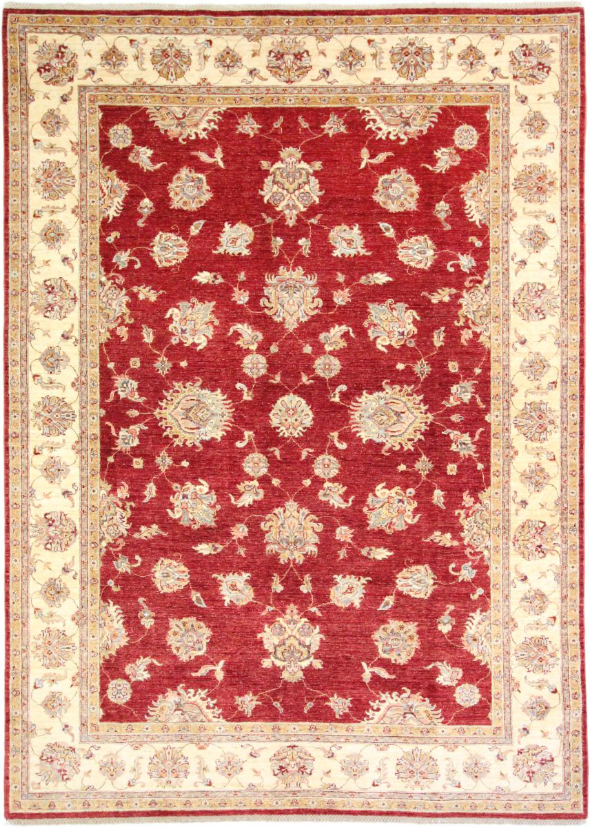 Afghan rug Ziegler Farahan 9'8"x7'0" 9'8"x7'0", Persian Rug Knotted by hand