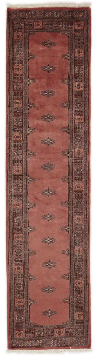 Alfombra pakistaní Pakistan Buchara 2ply 315x78 315x78, Alfombra persa Anudado a mano
