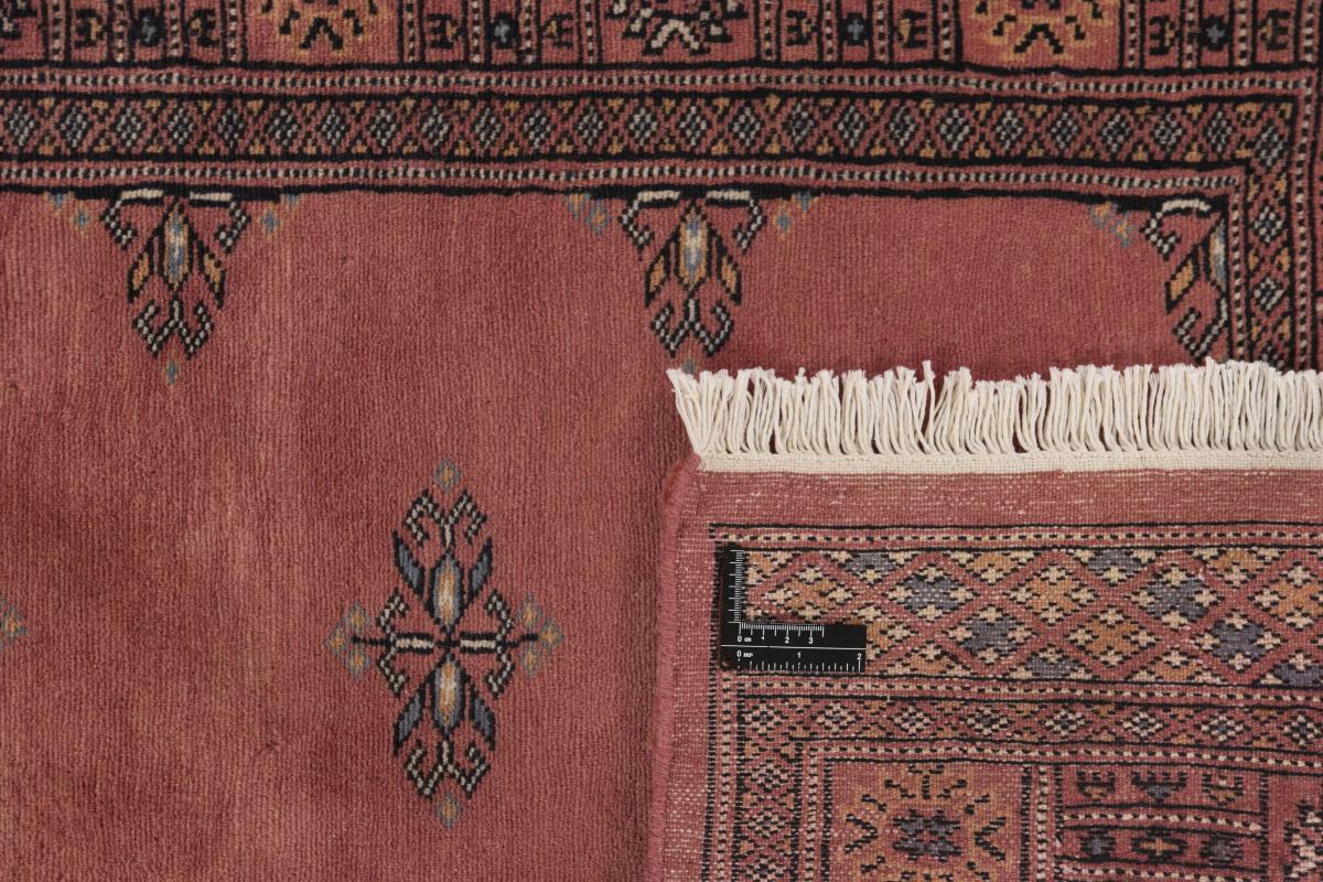 Pakistan Buchara 2ply - 1