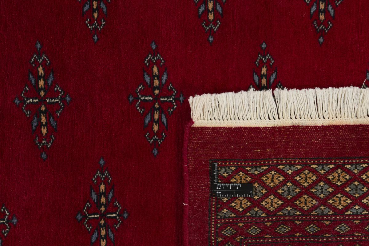 Pakistański Buchara 3ply - 1