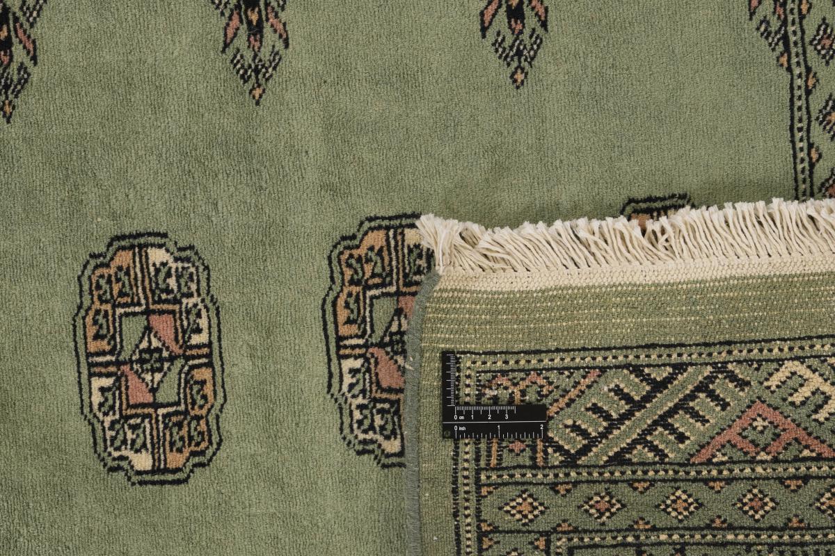 Pakistan Buchara 3ply - 1