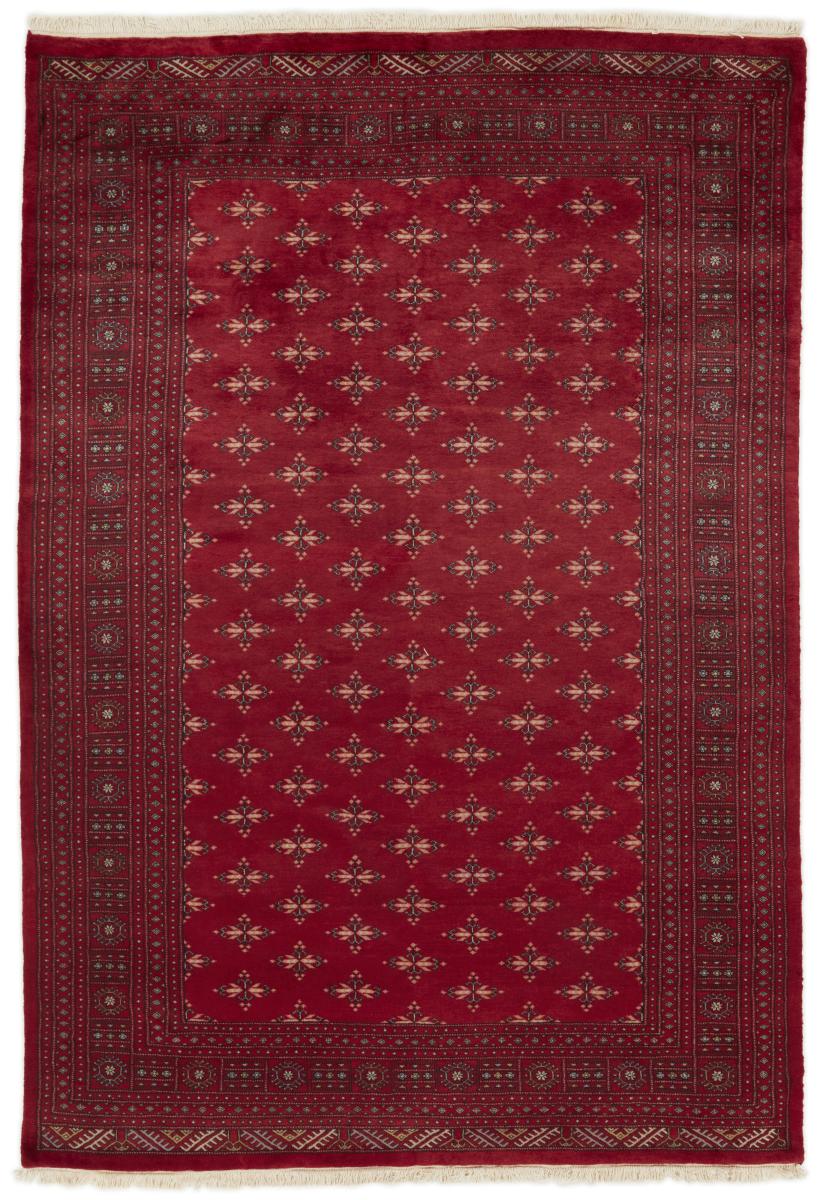 Dywan pakistański Pakistański Buchara 3ply 294x201 294x201, Dywan perski Ręcznie tkane