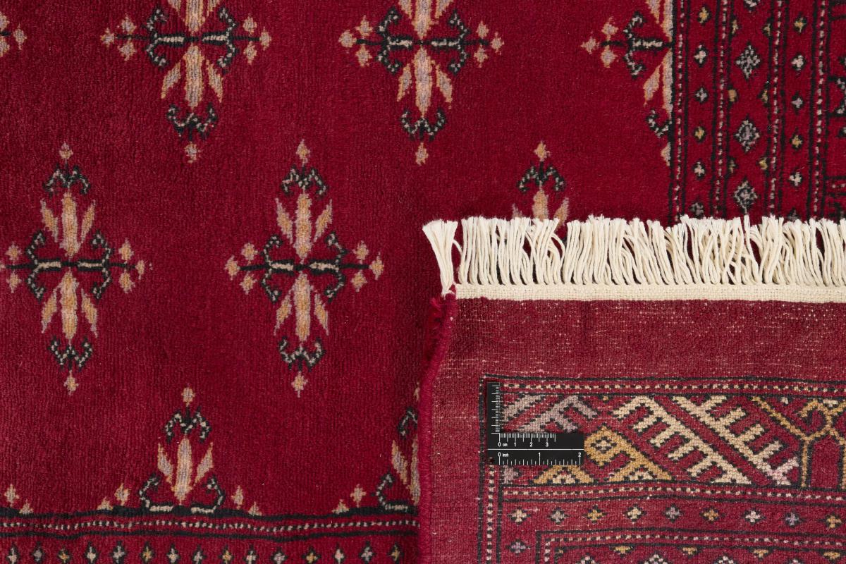 Pakistański Buchara 3ply - 1