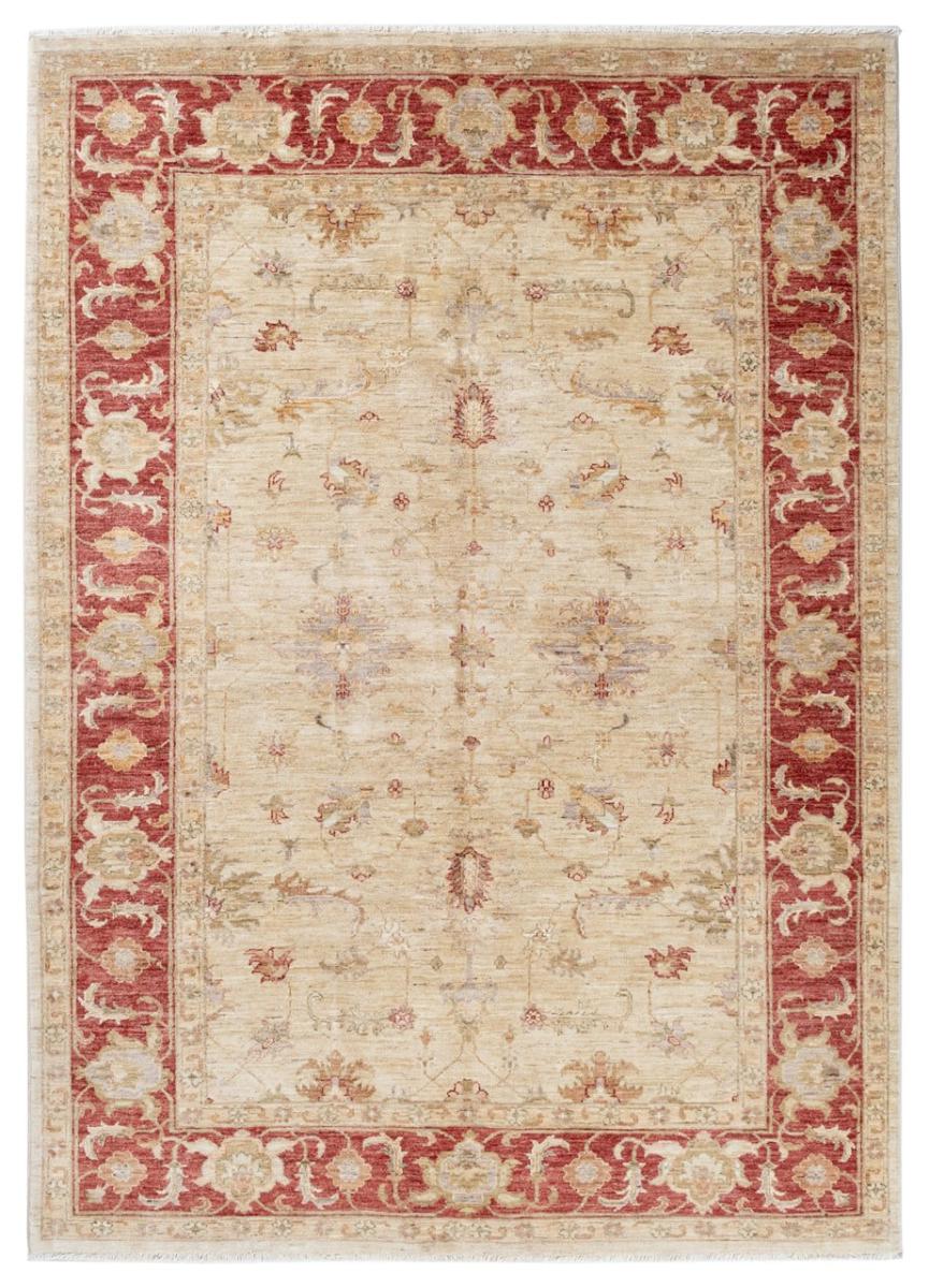 Pakistanischer Teppich Ziegler Farahan Arijana 8'0"x5'9" 8'0"x5'9", Perserteppich Handgeknüpft