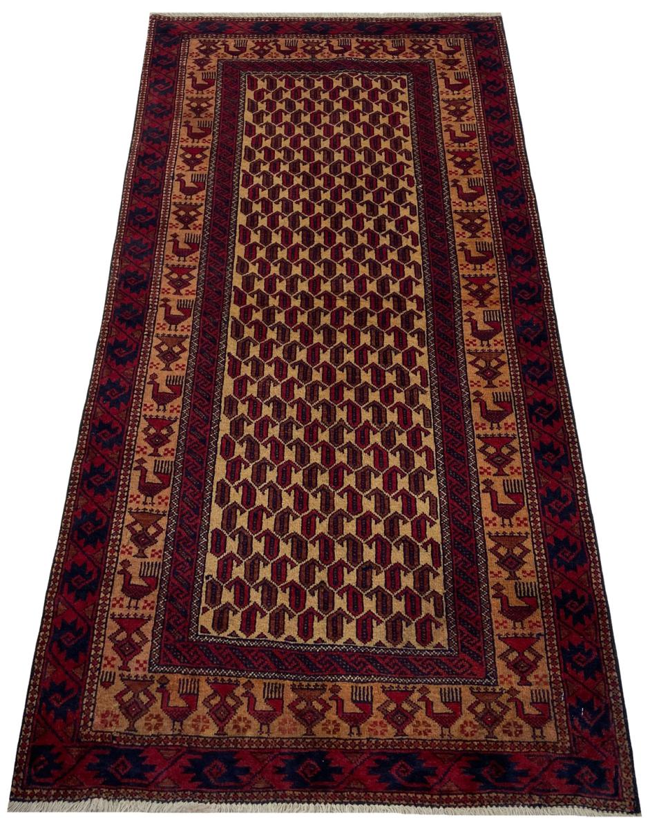 Baluch - 1