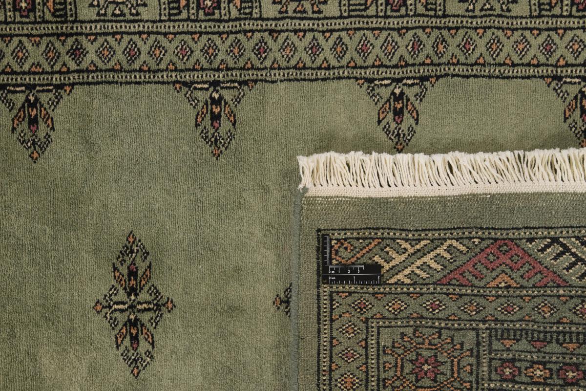 Pakistan Buchara 3ply - 1