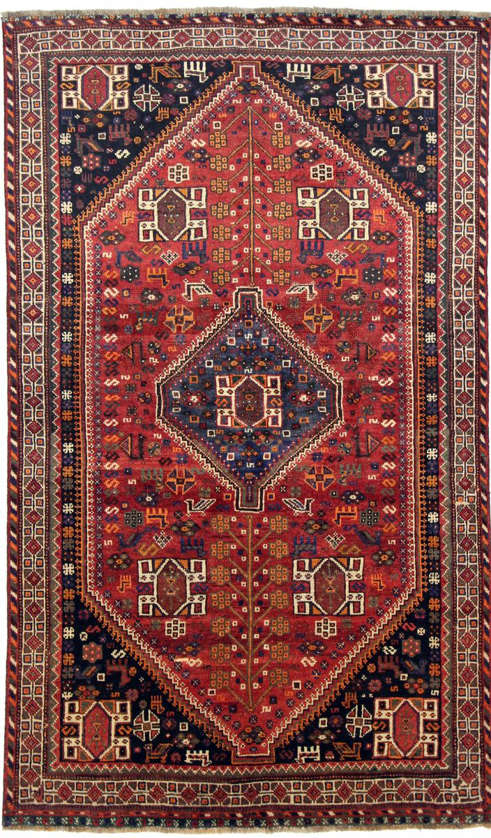 Tapete persa Shiraz 256x152 256x152, Tapete persa Atado à mão