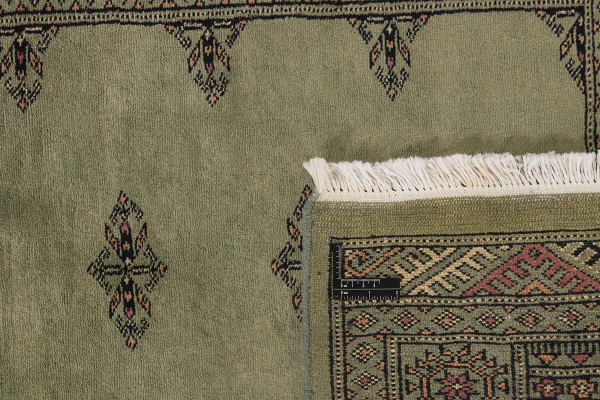 Pakistan Buchara 3ply - 1