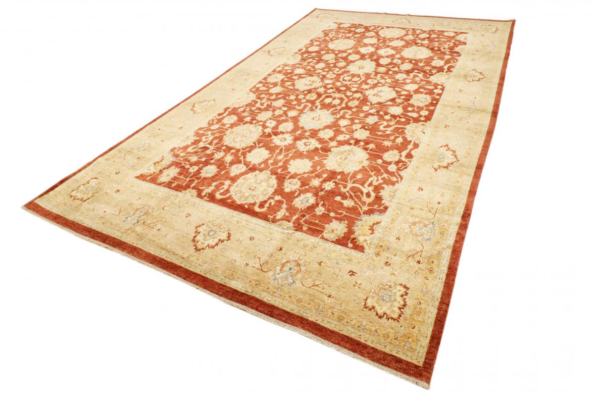 Ziegler Farahan - 1