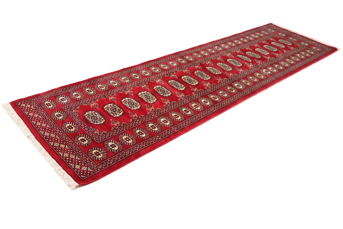 Pakistan Buchara 3ply - 1