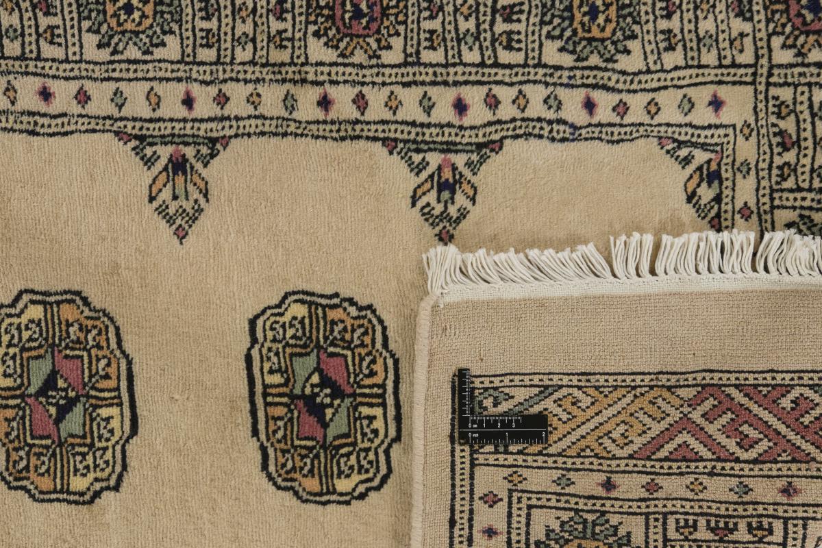 Pakistan Buchara 3ply - 1