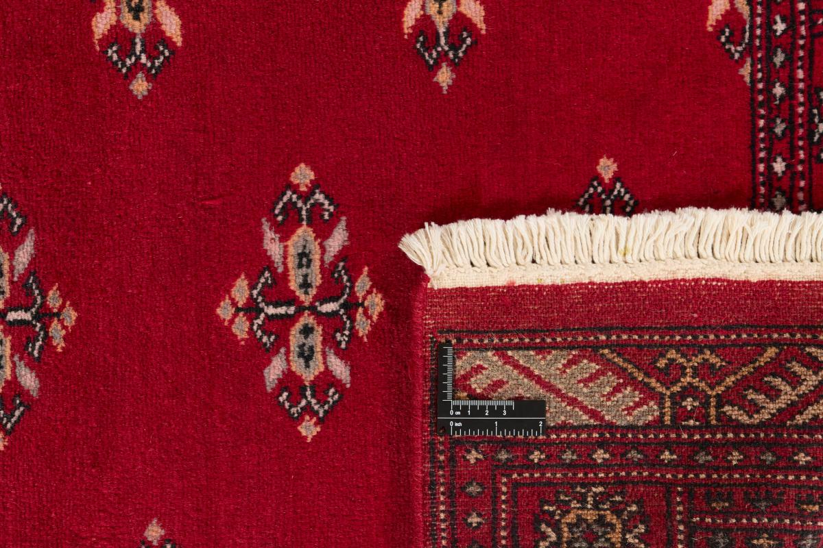Pakistan Buchara 2ply - 1