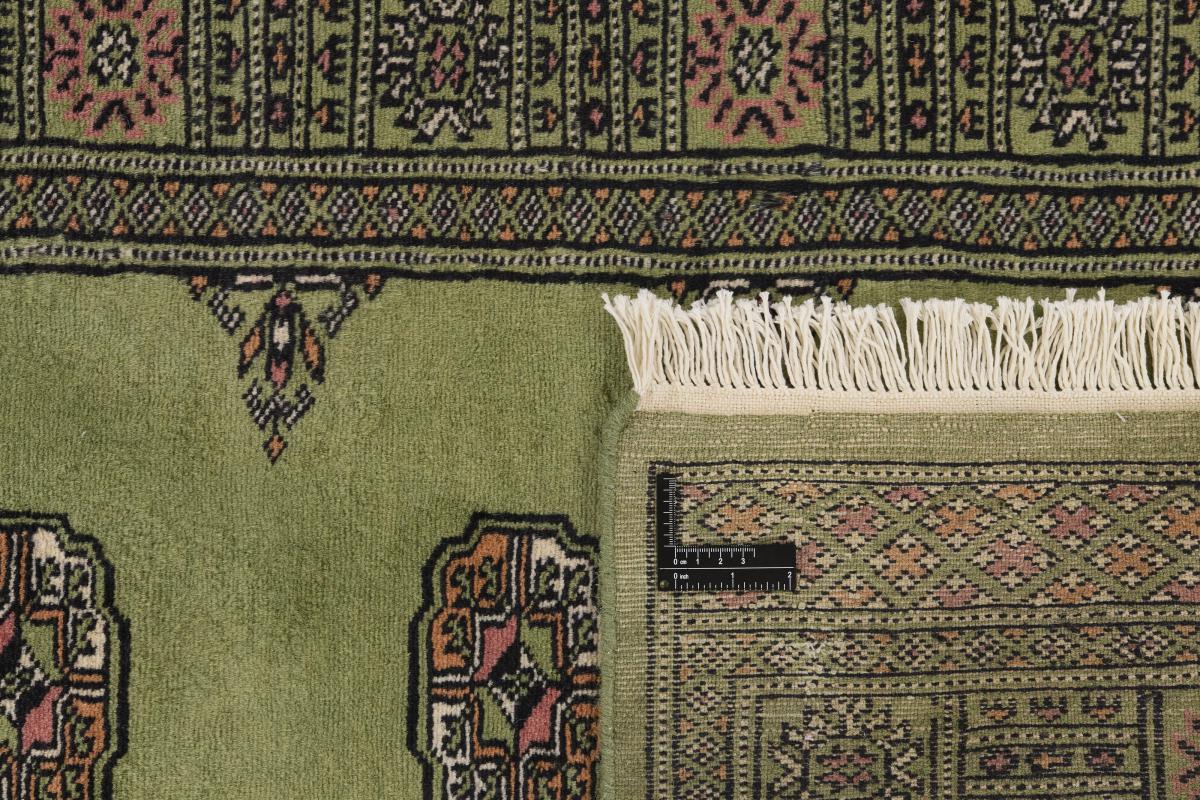 Pakistan Buchara 2ply - 1