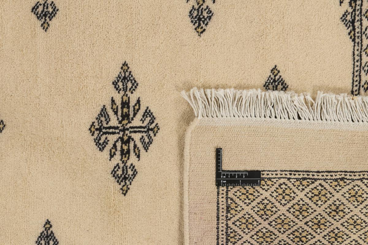 Pakistan Buchara 2ply - 1