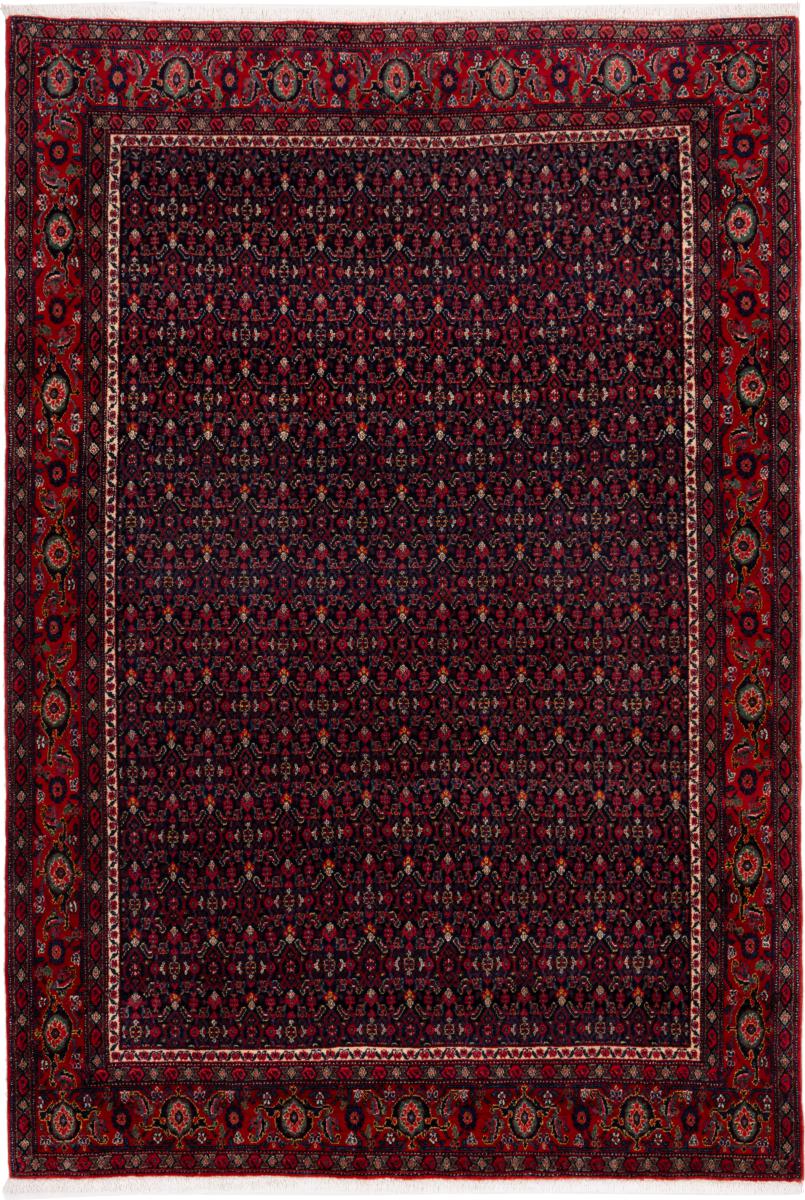 Persian Rug Sanandaj 215x149 215x149, Persian Rug Knotted by hand