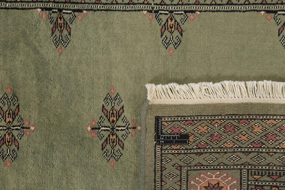 Pakistan Buchara 3ply - 1