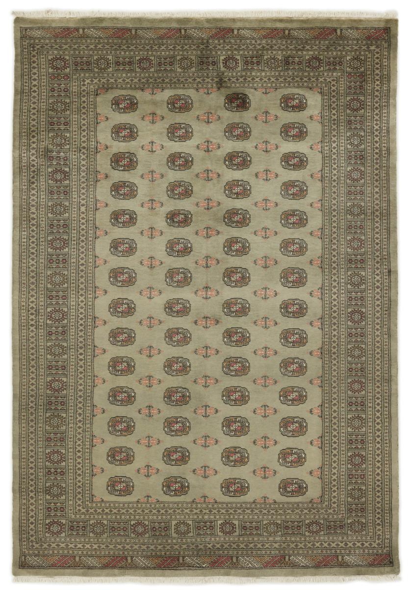 Dywan pakistański Pakistański Buchara 3ply 291x200 291x200, Dywan perski Ręcznie tkane