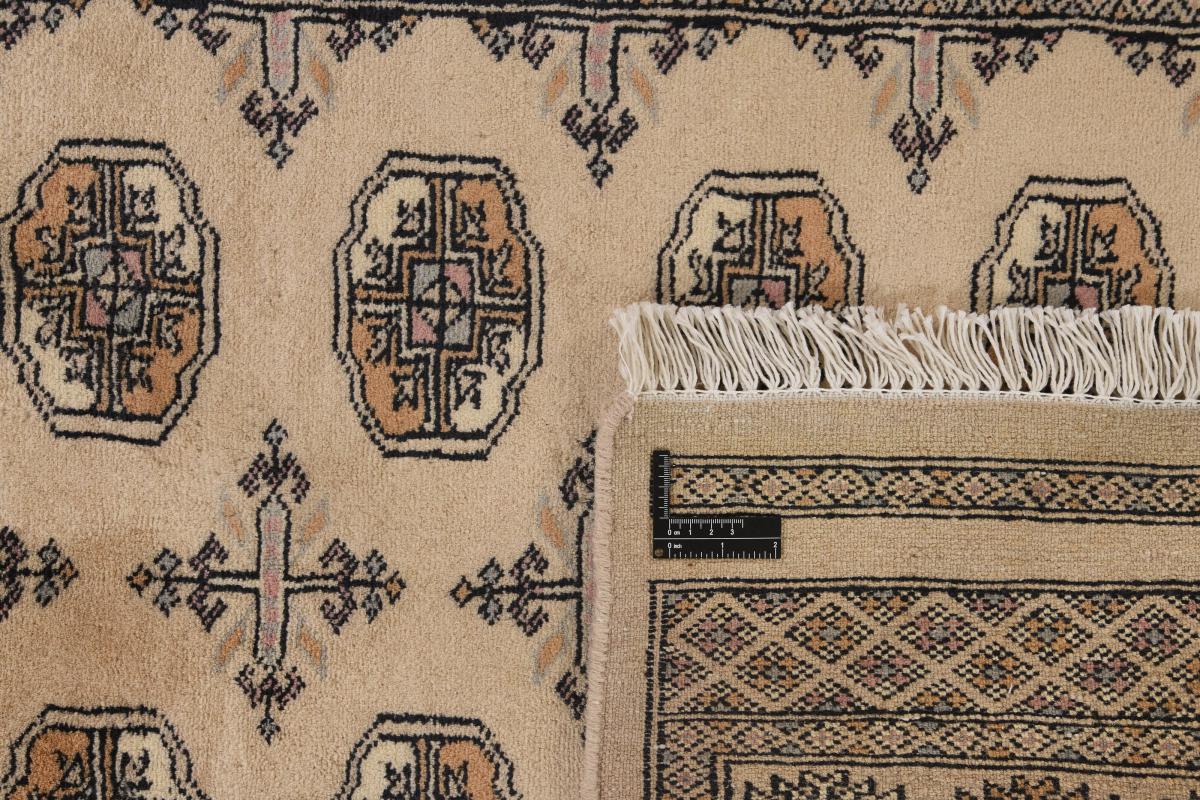 Pakistan Buchara 3ply - 1