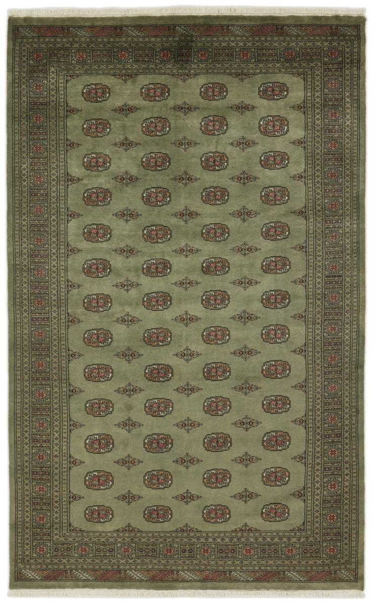 Dywan pakistański Pakistański Buchara 3ply 314x197 314x197, Dywan perski Ręcznie tkane