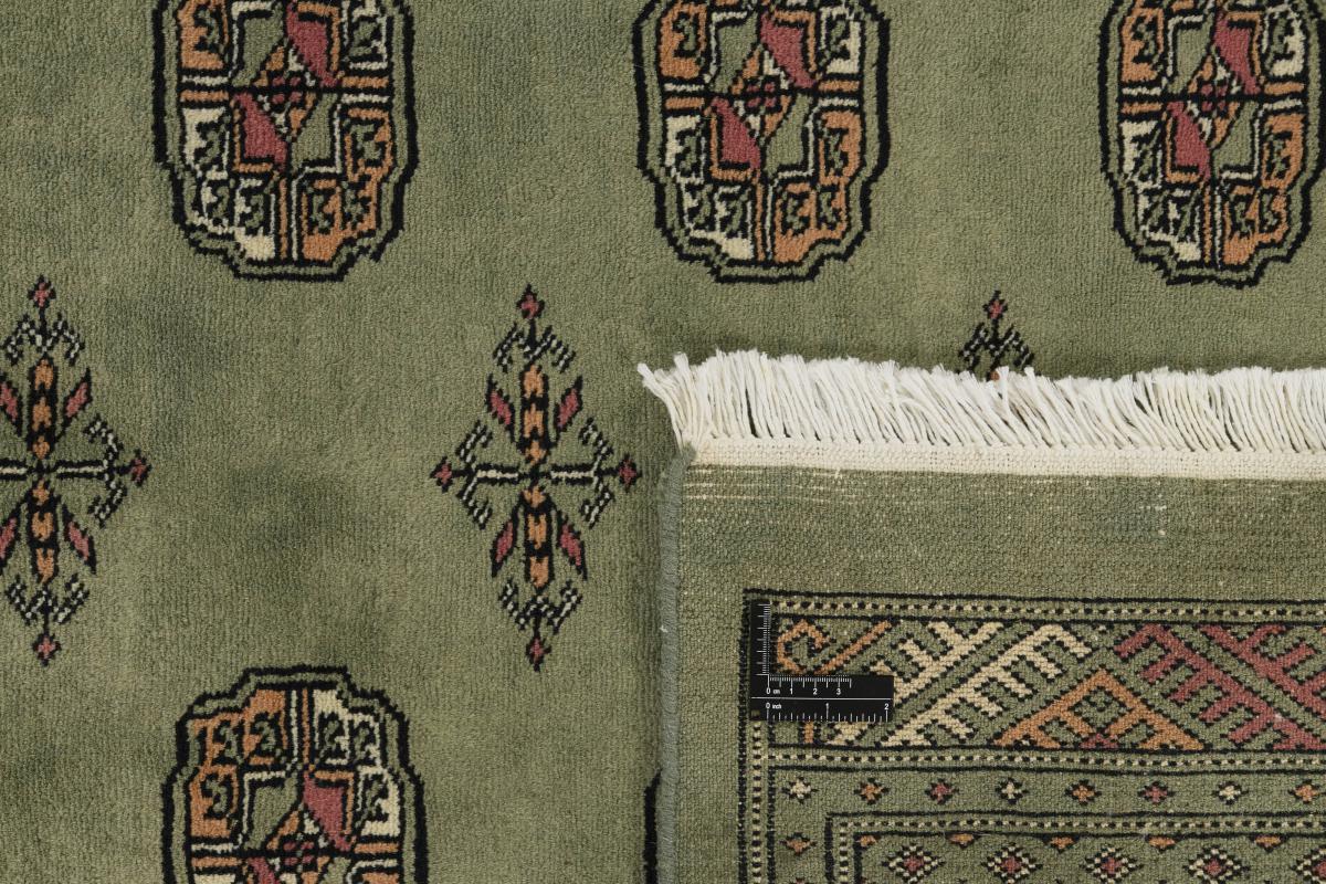 Pakistański Buchara 3ply - 1