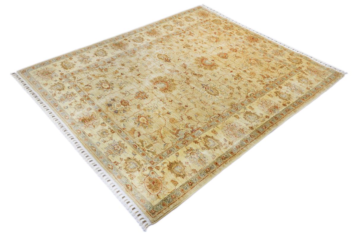 Ziegler Farahan - 1