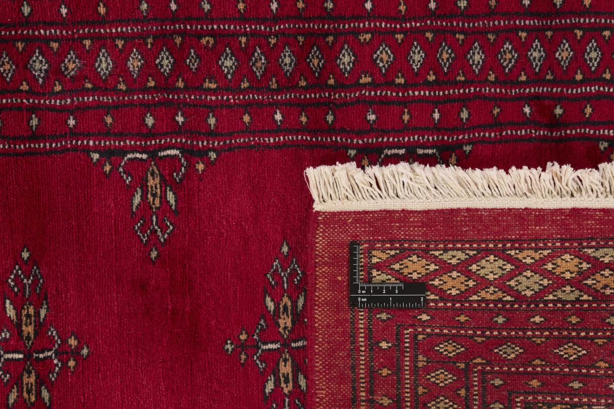 Pakistan Buchara 2ply - 1