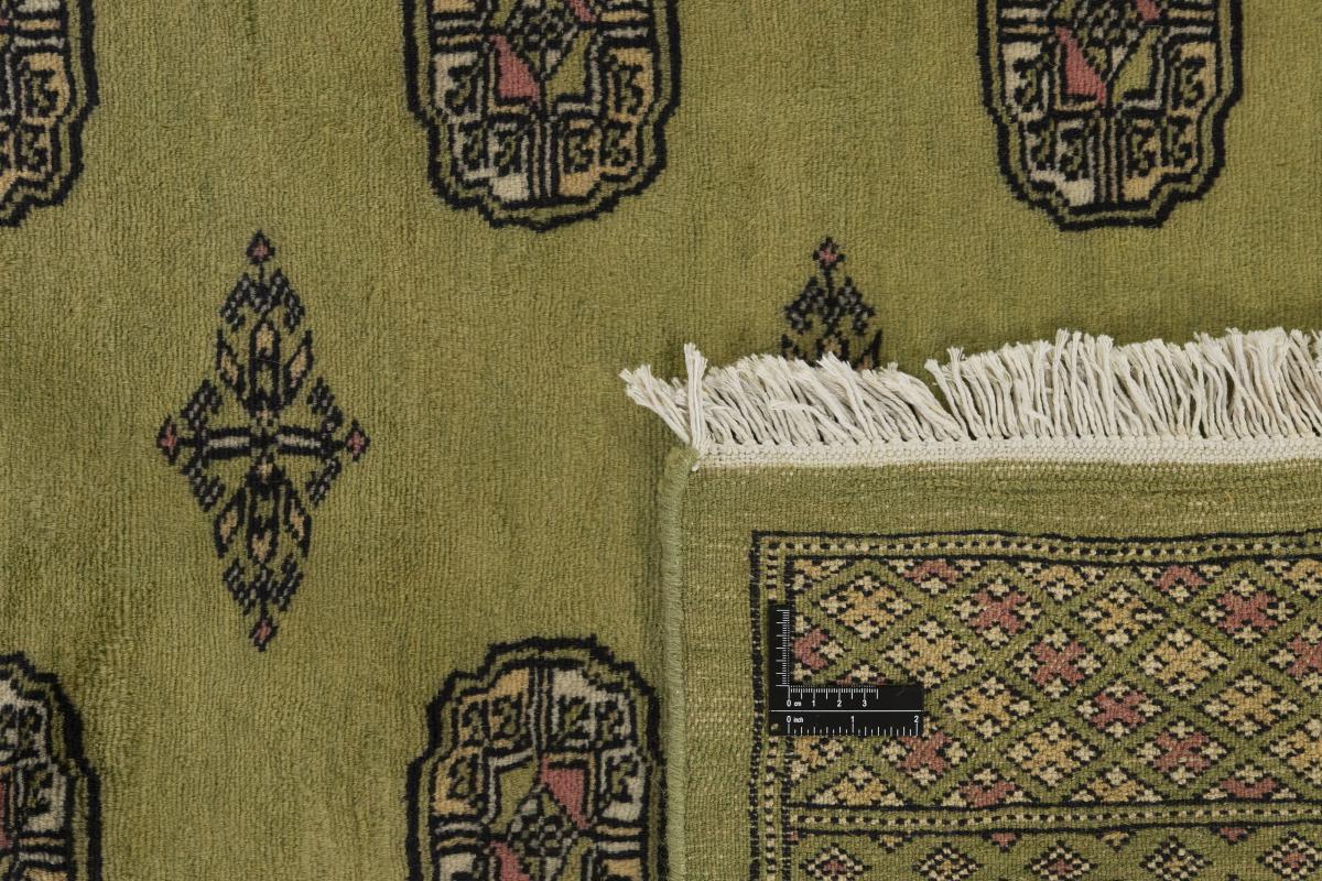 Pakistański Buchara 3ply - 1