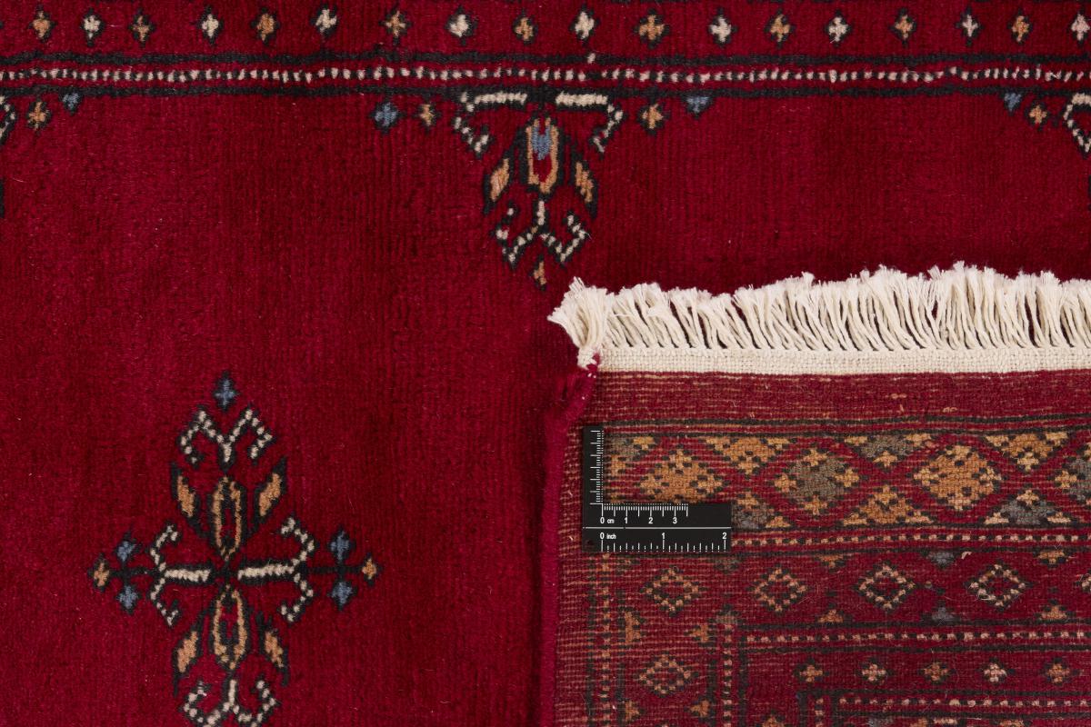 Pakistan Buchara 2ply - 1