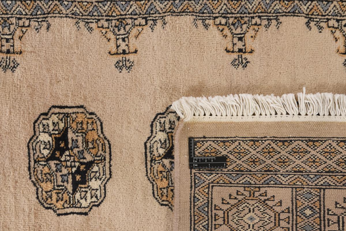 Pakistan Buchara 3ply - 1