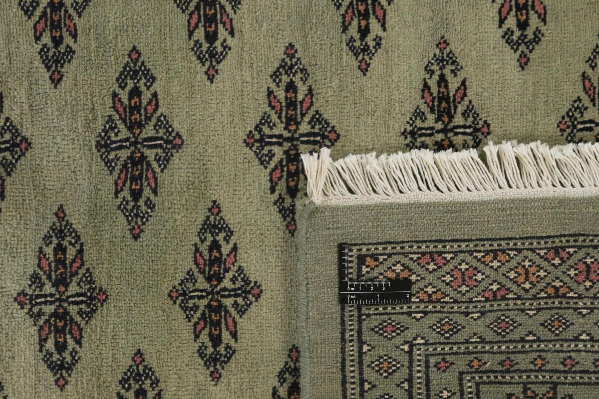 Pakistański Buchara 3ply - 1