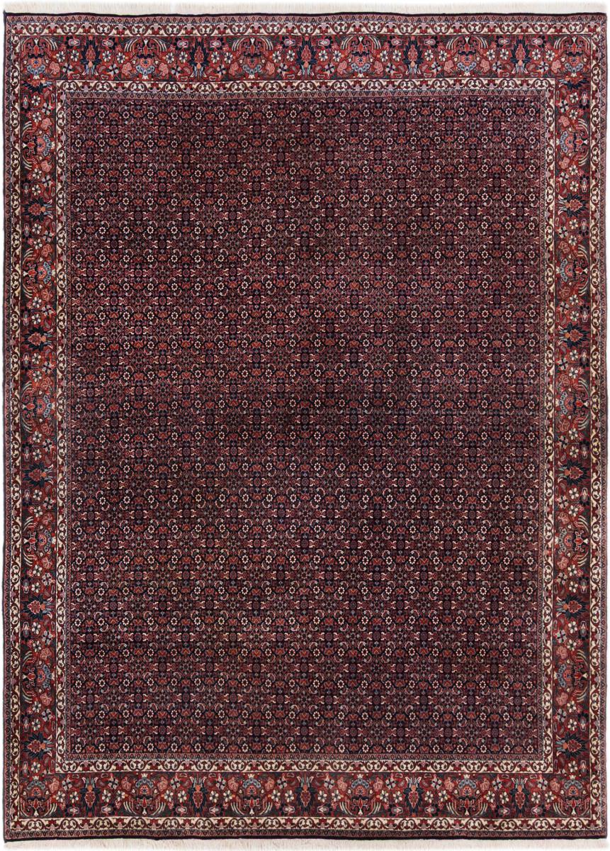 Persian rug Bidjar 339x251 339x251, Persian rug Hand-knotted