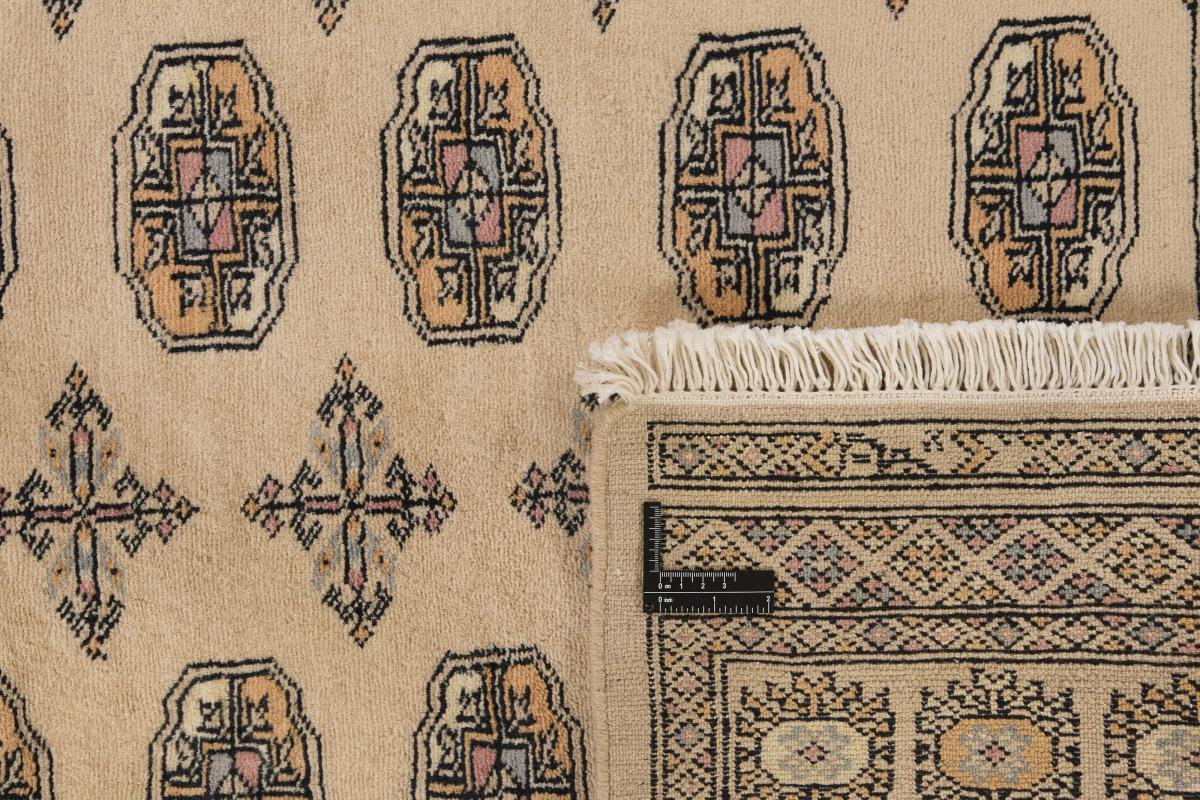 Pakistan Buchara 3ply - 1