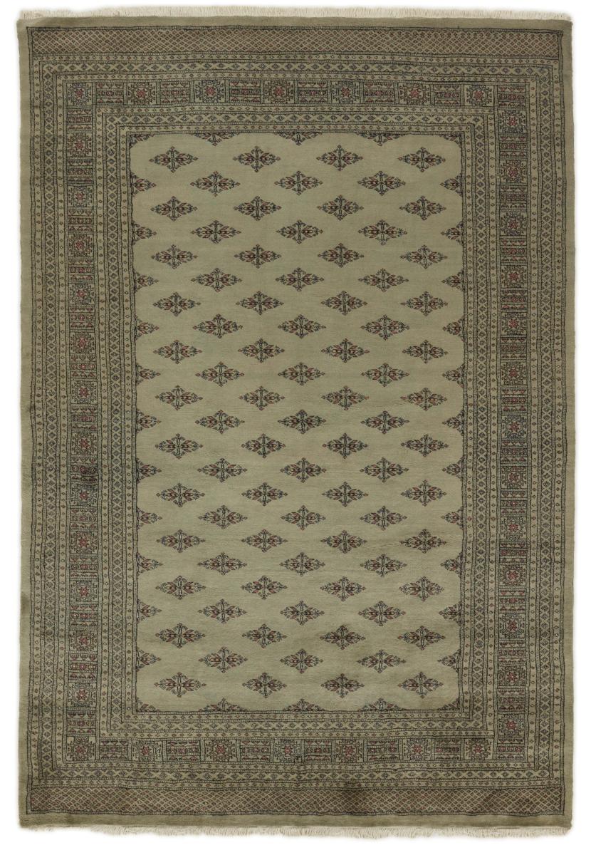 Dywan pakistański Pakistański Buchara 3ply 294x199 294x199, Dywan perski Ręcznie tkane