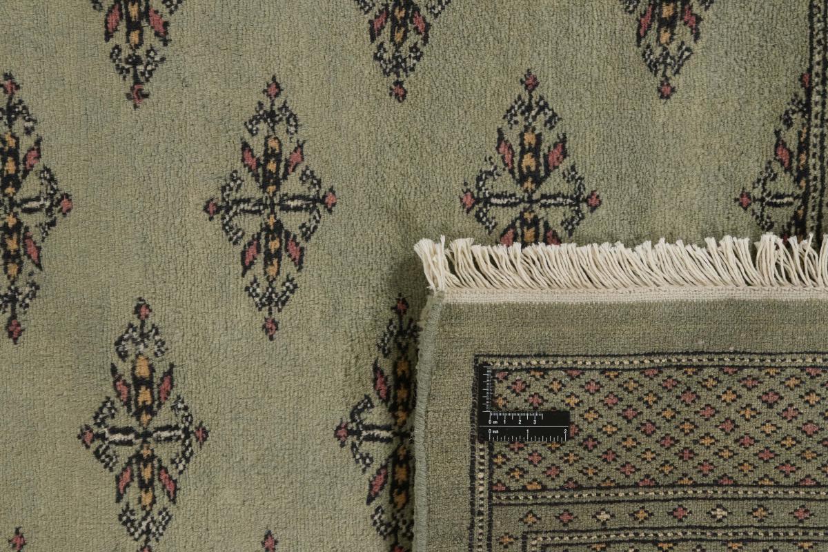 Pakistański Buchara 3ply - 1